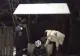 Prăbușit în zăpadă la –7 grade. Lupta unui bărbat cu frigul care putea să-l ucidă. VIDEO