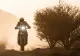 Dakar 2026. România debutează cu dreptul la cea mai dificilă competiție de anduranță din lume