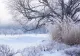 Avertisment meteo pentru februarie: vortexul polar se destabilizează, iar frigul arctic ar putea ajunge în Europa