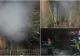 Incendiu de proporții în județul Satu-Mare. O persoană s-a ales cu arsuri, iar o alta s-a intoxicat cu fum -FOTO 