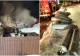 Incendiu devastator la o pensiune din județul Caraș-Severin. Pompierii au evacuat la timp mai multe butelii cu propan  