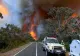 Australia declară stare de catastrofă din cauza incendiilor devastatoare și valului de căldură