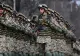Ministrul Apărării a anunțat ce se va întâmpla cu pensiile și soldele militarilor 