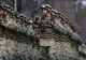 Guvernul pregătește schimbări majore pentru militari: două vârste de pensionare și creșteri salariale în discuție