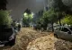 Inundații catastrofale în Grecia. Imagini de coșmar pe străzile Atenei, după viiturile care au paralizat orașul – VIDEO