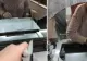 Un bărbat s-a „răzbunat” pentru creșterea taxelor și și-a plătit dările cu 5 kilograme de monede – VIDEO