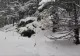 Urșii au ieșit din hibernare. Un grup de turiști din masivul Piatra Mare s-a trezit cu animalul masiv în mijlocul zăpezilor. VIDEO