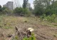 Un consilier AUR îi taxează pe cei din USR pentru situația Parcului IOR: „Au promis că îl vor salva. Astăzi au puterea. De ce nu îl salvează?”