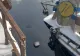 ALERTĂ de poluare cu petrol pe Dunăre după ce un împingător s-a scufundat! Ce spun reprezentanții de la Apele Române FOTO&VIDEO