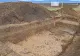 Figurina care scrie istoria pe meleagurile românești. Dovadă veche de 7.500 de ani, găsită la Sfântu Gheorghe