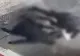Bărbat bătut de doi indivizi la ieșirea din Spitalul Obregia. Agresorii, care au folosit și un cuțit, reținuți