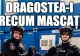 Mesaj inedit de Valentine’s Day de la Ministerul Afacerilor Interne: „Dragostea-i precum mascații...."