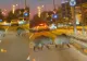 Porci mistreți, surprinși pe o șosea aglomerată din Băneasa. Scene neobișnuite în nordul Capitalei | VIDEO