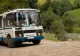 Șocul unei pensionare: și‑a investit toate economiile într‑o casă, iar acum află că un autobuz îi va trece prin grădină