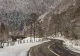Transfăgărășan închis în zona localității Arefu până pe 20 martie: ce trebuie să știe șoferii și ce variante au la dispoziție