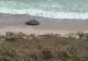 Alertă la malul mării. O dronă a fost descoperită între Tuzla și Costinești VIDEO