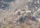Explozie devastatoare într-o mină din India: cel puțin 18 morți și mai mulți muncitori blocați sub pământ - VIDEO