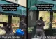 Jaf ca în filme la magazin de bijuterii, ziua în amiaza mare: Hoții sparg vitrina cu ciocane sub ochii trecătorilor. VIDEO