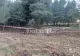 Caz șocant în Grecia: un cadavru decapitat a fost găsit pe câmp