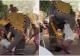 Momente de panică la un festival religios din India: un elefant a atacat un preot și l-a aruncat în mulțime