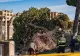 Român rănit în Roma după ce un copac vechi de 120 de ani s-a prăbușit peste el. Alte două persoane au ajuns la spital