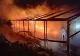 Incendiu de proporții în județul Suceava. O seră de flori a fost mistuită de flăcări -FOTO 