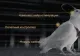 Rușii fac porumbei-cyborg. O companie susține că poate transforma păsările în drone de spionaj