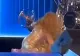 Momentul în care Shakira se prăbușește pe scenă, în mijlocul unui mega concert - VIDEO