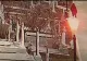Polițiștii au identificat persoana care a vandalizat mormântul lui Ilie Balaci. Femeia este acum anchetată penal - VIDEO