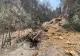 Alunecare de teren într-o zonă turistică din Brașov. Există riscul prăbușirii mai multor arbori