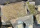 Tânăr prins în flagrant în timp ce vindea droguri în Bucureşti. 1,2 kilograme canabis şi cocaină, descoperite la percheziţii