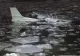 Incident aviatic cu final fericit: toți oamenii au supraviețuit după prăbușirea unui avion