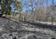 Incendiu în județul Suceava. Șapte hectare de vegetație uscată au fost mistuite de flăcări