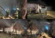 Incendiu puternic la o hala gater din județul Harghita. Pagubele materiale sunt uriașe 