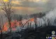 Incendiu uriaș de vegetație lângă Los Angeles: Zeci de mii de oameni evacuați și sute de pompieri au fost mobilizați