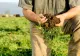 Agricultura românească, pe butuci din cauza războiului din Golf. Fermierii au ajuns la limita răbdării și cer demisia guvernanților
