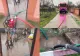 Furtuna a făcut ravagii în Teleorman. Un acoperiș și mai multe solarii au fost avariate de vânt, iar mai multe gospodării au fost inundate - FOTO