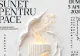 Premieră globală la București: Maestrul Nicolae Voiculeț lansează Orchestra Mondială a Păcii la Palatul Parlamentului