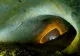 Locul din România unde viața continuă chiar și după un dezastru nuclear. Sfidează natura și nu are nevoie de soare