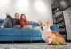 Câte animale de companie ai voie să ții în apartament și de ce s-ar putea să plătești mai mult la întreținere din cauza lor