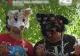 Tineri deghizați în animale, merg în patru labe pe străzi. Ei se identifică cu pisici, câini și vulpi