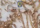 Rețea de contrabandă cu aur și proxenetism, destructurată în Capitală: peste 28 kg de aur și 1.700 de livrări prin curier