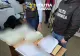 Percheziții în Galați într-un dosar de delapidare: angajat al Grădinii Zoologice, suspectat că ar fi furat hrana animalelor