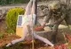 Soldații israelieni care au profanat statuia lui Isus, condamnați la o luna de închisoare