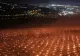 O fermă din România a ars lumânări de zeci de mii de euro, într-o noapte, pentru a salva o livada de la îngheț - VIDEO