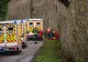 Tragedie în Germania, în ziua de Paște: o mamă și bebelușul ei au murit după ce un copac a căzut peste ei