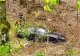Șofer rănit după ce a pierdut controlul volanului și a ajuns cu mașina în pădure: accident spectaculos în Argeș
