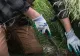 Soluții naturale eficiente pentru a împiedica creșterea buruienilor în curte