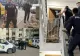 Descoperire șocantă într-un apartament din București. 25 de câini ținuți în condiții greu de imaginat, fără apă și mâncare