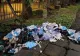 Amendă de 70.000 de lei după ce saci cu deșeuri medicale au fost aruncați în Parcul Cișmigiu FOTO